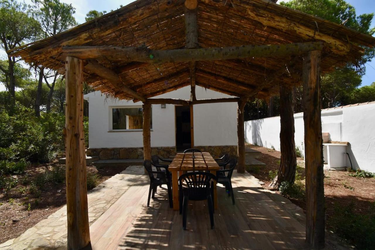 치클라나 데 라 프론테라 Casa Palmito 2 빌라 외부 사진